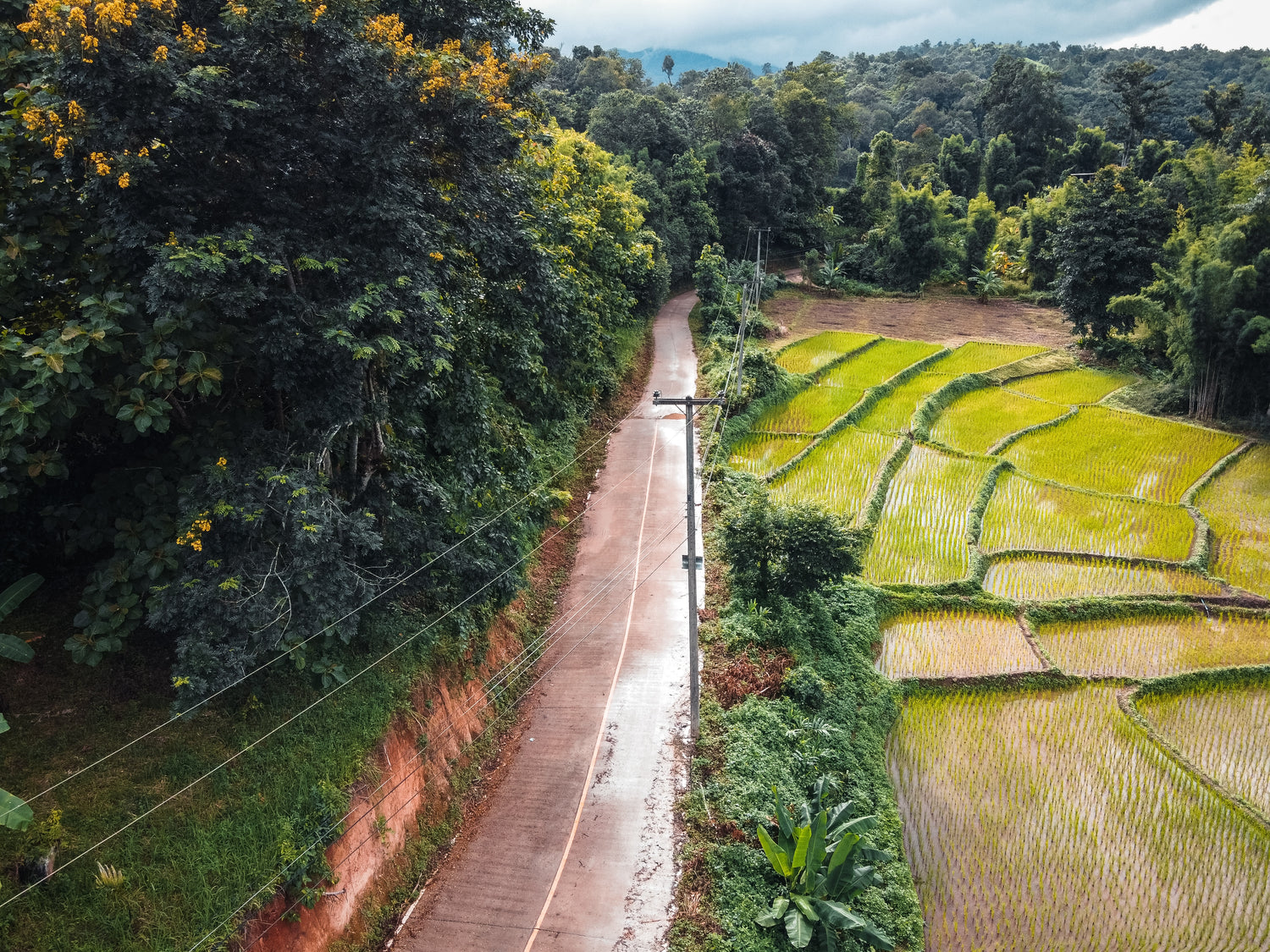 View from above of a road surrounded by farm and forest landscape in Asia.