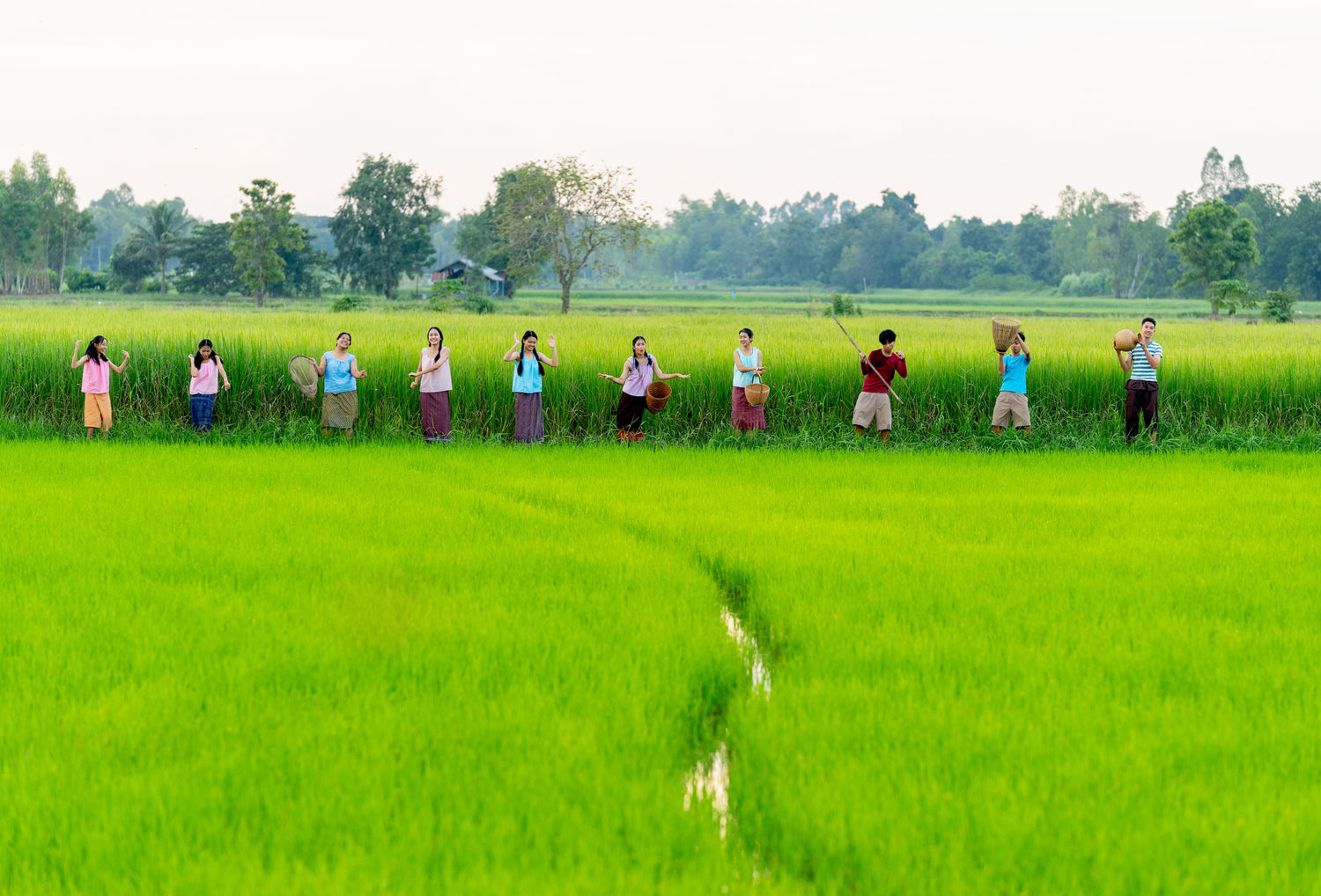 Asian farmers standing in a grassy field.